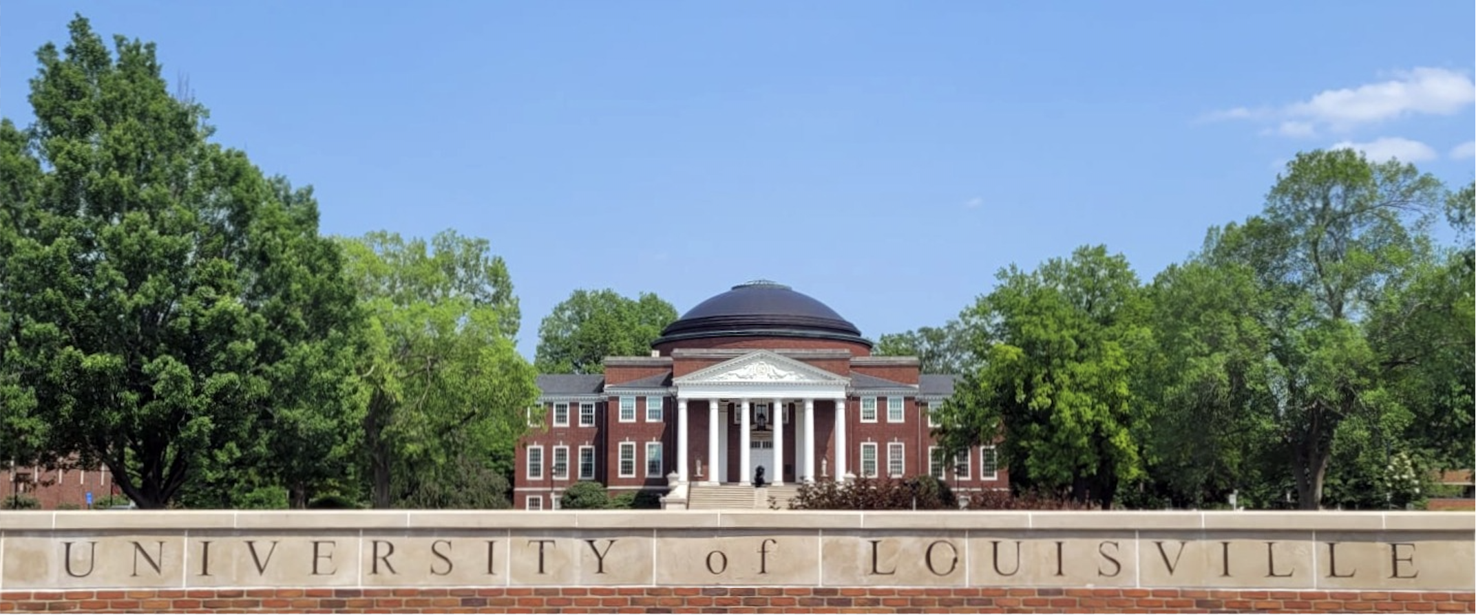 2026 Belle II Summer Workshop