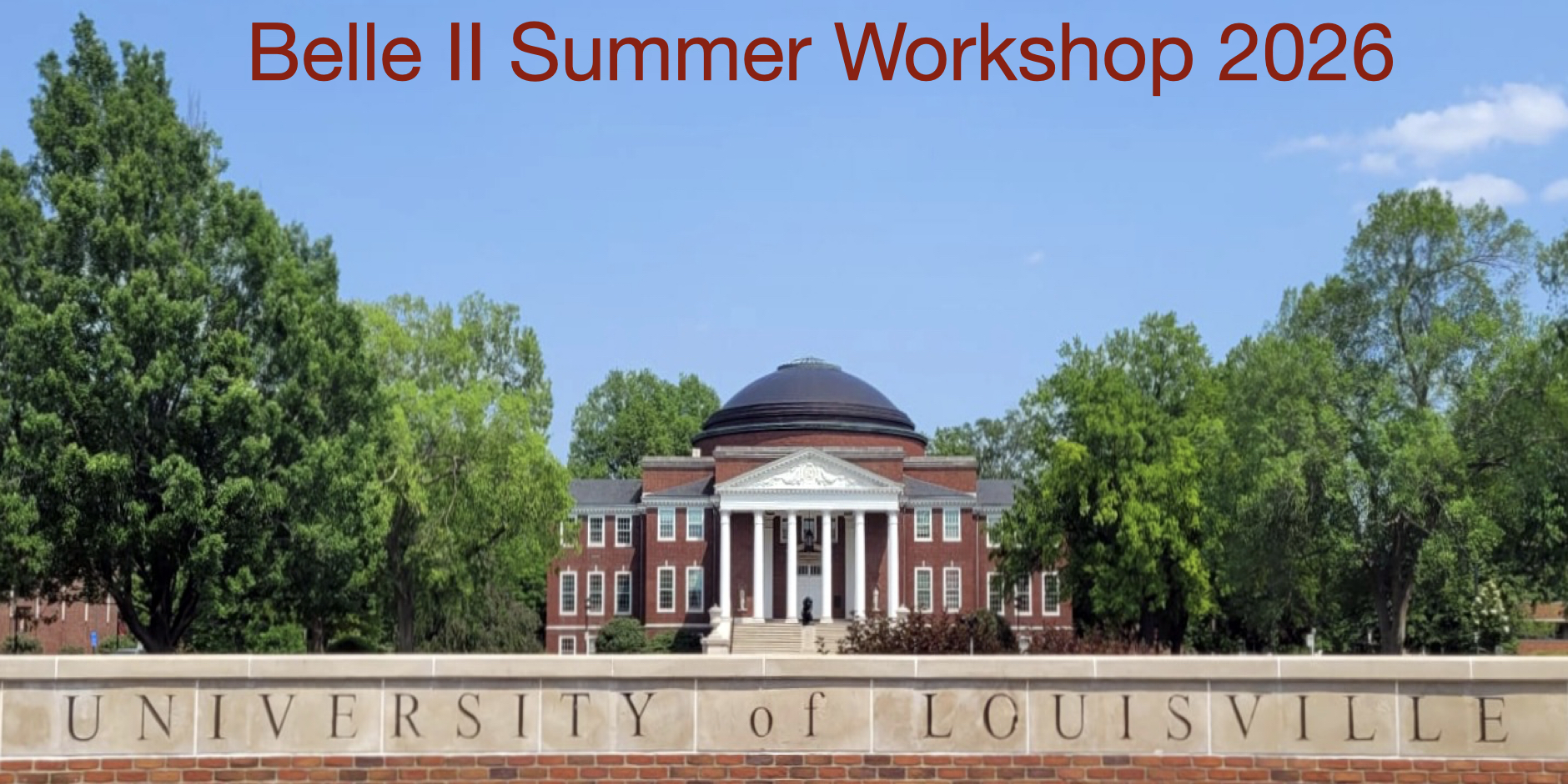 2026 Belle II Summer Workshop